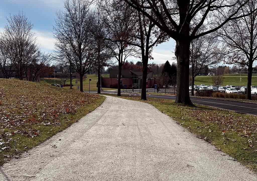 Gravel Trail next to trees